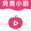 新青鸟影视去广告纯净版